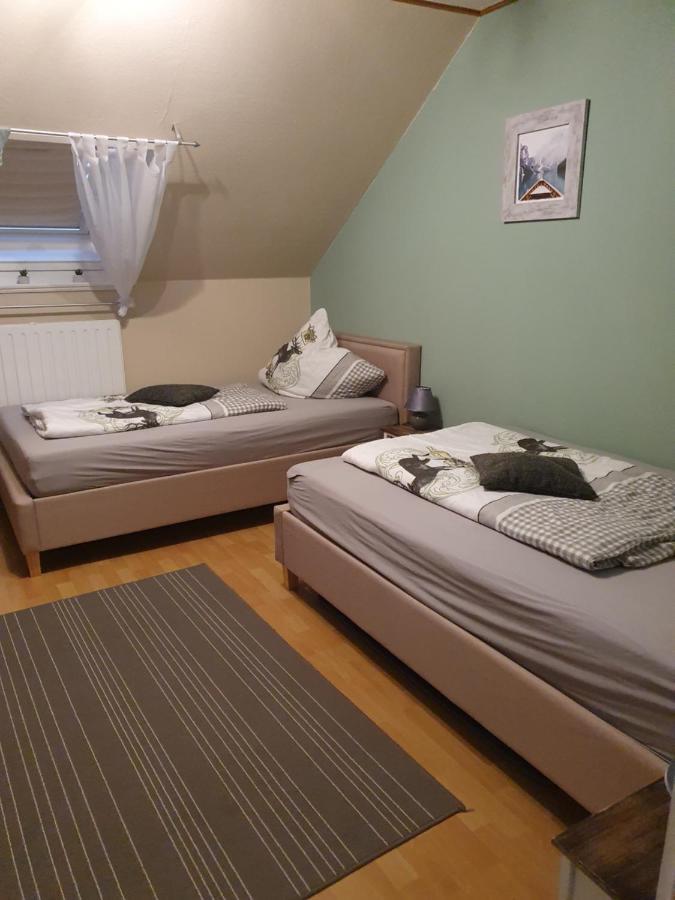 Ferienwohnung am Siegelbächle mit E-Bikes Vermietung Gutach im Breisgau Exterior foto