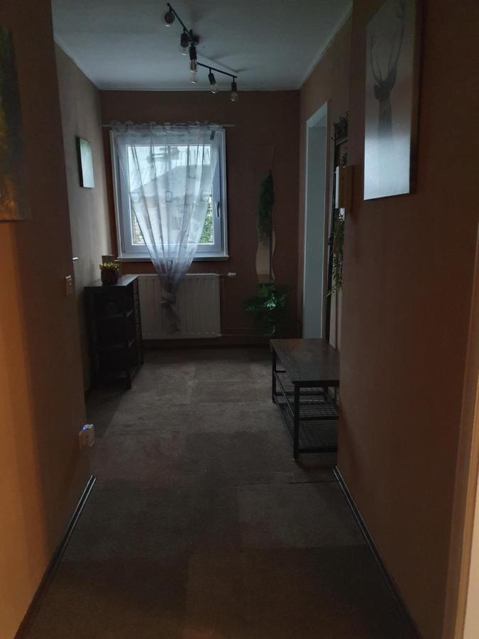 Ferienwohnung am Siegelbächle mit E-Bikes Vermietung Gutach im Breisgau Exterior foto