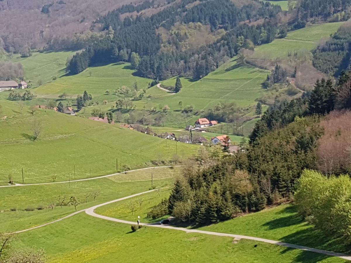 Ferienwohnung am Siegelbächle mit E-Bikes Vermietung Gutach im Breisgau Exterior foto